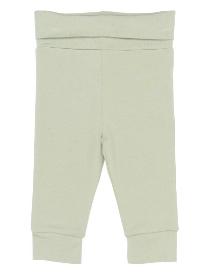 The New Tnsbphoenix Pants Green 68