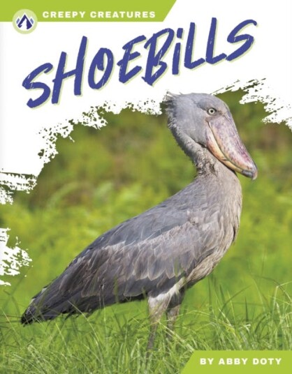 Creepy Creatures: Shoebills Creepy Creatures: Shoebills