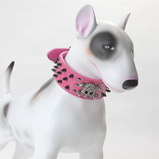 Nagle Og Hodeskalle Halsbånd Til Hund Nagle Og Hodeskalle Halsbånd Til Hund