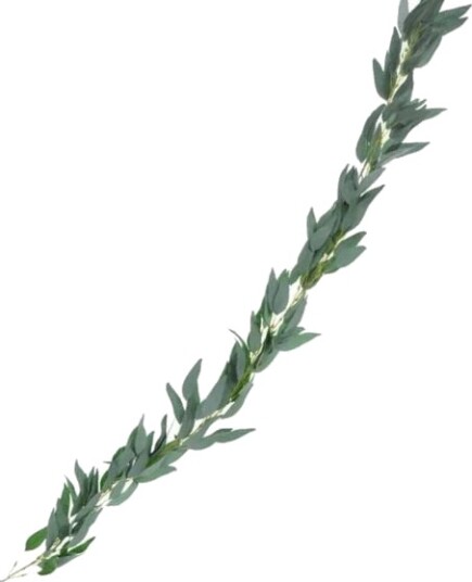 PartyDeco Girlander Willow Blader