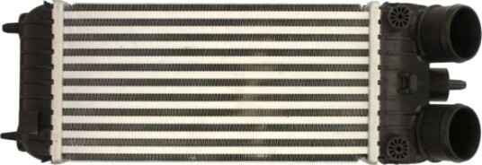 Intercooler THERMOTEC DAP007TT