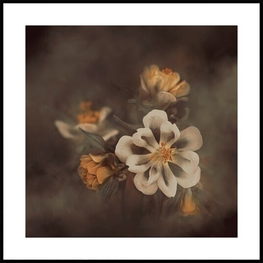 Distant Realms Plakat Plakat / 50x50cm