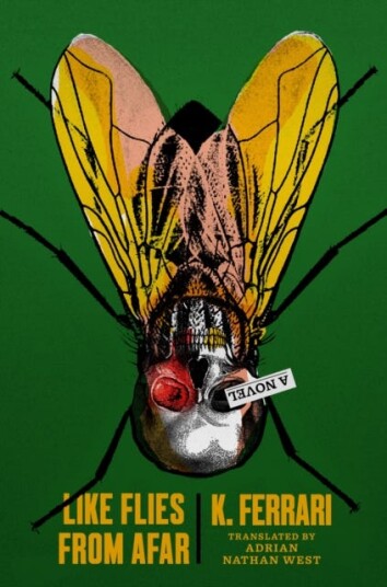 Like Flies From Afar Av K. Ferrari
