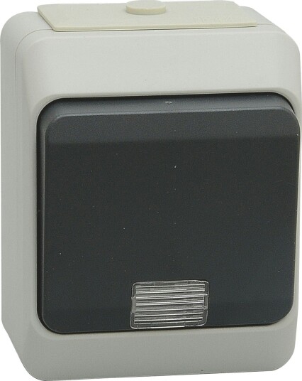 Bryter Malmbergs Nordic Puls m/Lampe IP44 Grå/Sort