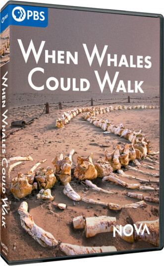 NOVA: When Whales Could Walk DVD