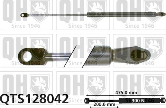 QUINTON HAZELL QTS128042 Baklukedemper