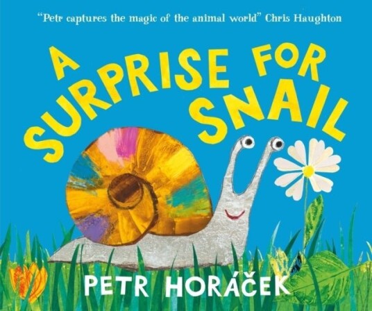 A Surprise for Snail A Surprise for Snail
