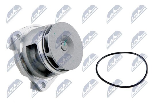 NTY CPW CH 029 Vannpumpe NTY CPW CH 029 Vannpumpe
