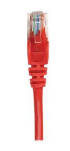 Intellinet Network Patch Cable Cat5e 1M Red Cca U/Utp Pvc Rj45 Gold Plated Contacts Snagless Booted Lifetime Warranty Polybag Koblingskabel Rj-45 Hann Til Rj-45 Hann 1 M Utp Cat 5E Formstøpt Uten Hindringer Rød