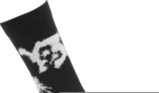 Sokker Y 3 Chito Graphic Crew Socks Black S