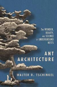 Ant Architecture Av Walter R. Tschinkel
