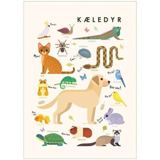 Poster & Frame Citatplakat Kæledyr – Børneplakat