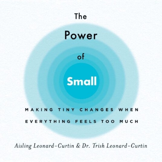 The Power Of Small Av Aisling Leonard-Curtin, Trish Leonard-Curtin