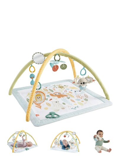 Fisher Price Simply Senses Fisher Price Gym
