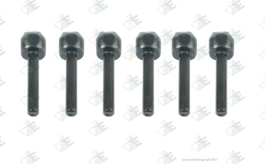 Stift Euroricambi 60531593