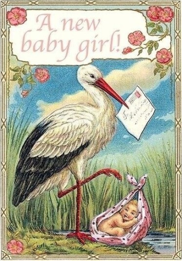 Madame Treacle Gratulasjonskort B6 Med Konvolutt – Fødsel Stork Jente