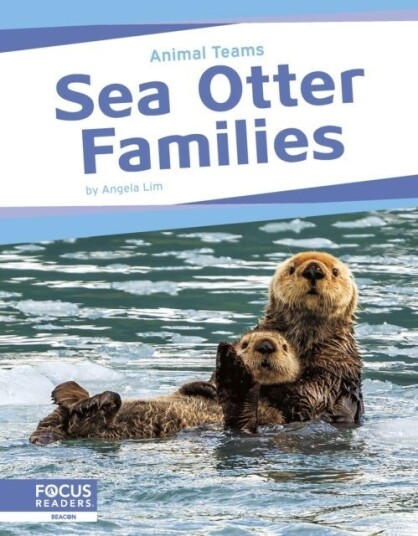 Sea Otter Families Sea Otter Families