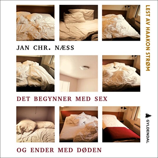 Det Begynner Med Sex Og Ender Med Døden Av Jan Chr. Næss