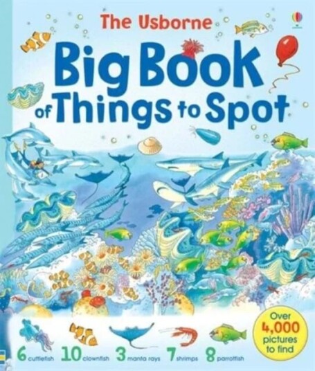 Big Book Of Things To Spot Av Gillian Doherty, Ruth Brocklehurst, Anna Milbourne