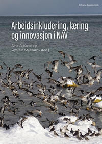 Arbeidsinkludering, Læring Og Innovasjon I Nav