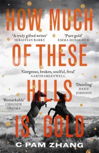 How Much Of These Hills Is Gold Av C. Pam Zhang