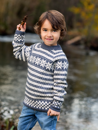Dale Garn 309 02B Fanagenser Med Raglan Dale Garn 309 02B Fanagenser Med Raglan