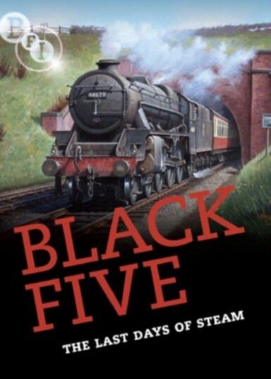 Black Five: The Last Days Of Steam DVD