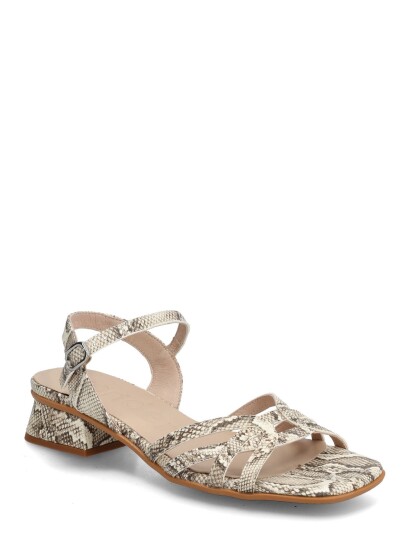 Wonders Caliza 03 Multi/patterned 40