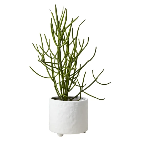 Affari of Sweden COCOS potte 14 cm