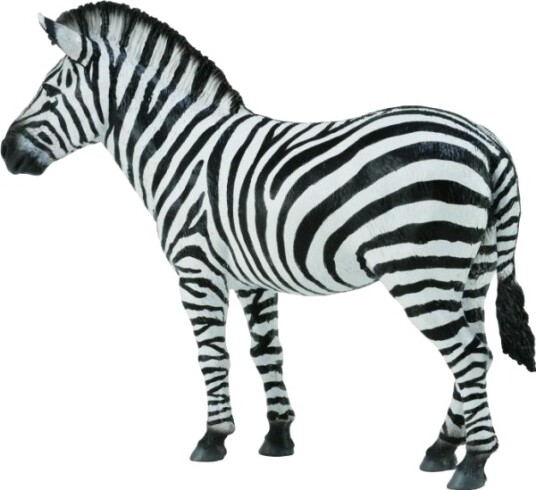 Collecta Zebra Figur Common 004 88830 Collecta Zebra Figur Common 004 88830