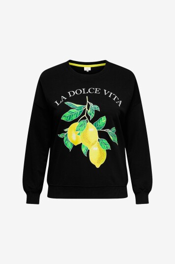 Only Carmakoma Collegegenser Carlacey Life L/s O neck Sweat Jrs Svart