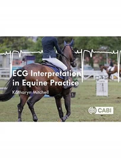 Ecg Interpretation In Equine Practice Av Katharyn (University Of Zurich Switzerland) Mitchell