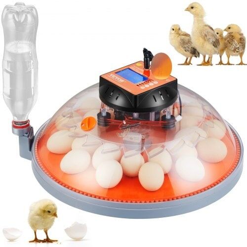 Egginkubator Rugemaskin for klekkeegg Auto Egg Turning 24 Eggs