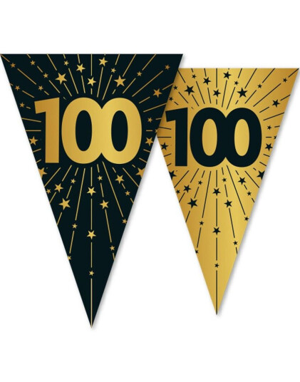 100-års Feiring - 10 Meter Banner med 15 Flagg
