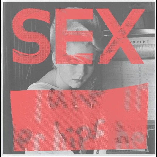 Diverse Artister SEX We Are Not In The Least Afraid Of Ruins LP/Vinyl Diverse Artister SEX We Are Not In The Least Afraid Of Ruins LP/Vinyl
