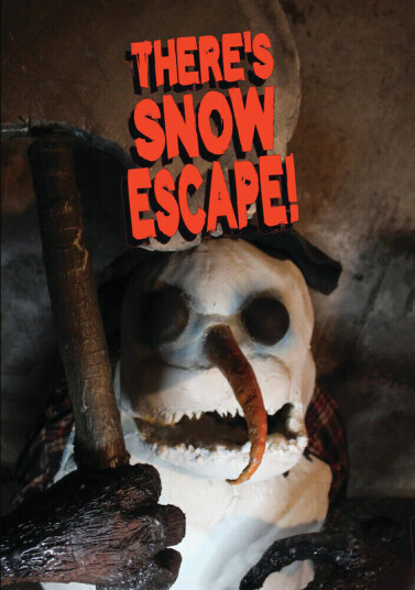 There's Snow Escape DVD