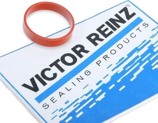 Tetning innsugningsmanifold REINZ 71 77546 00