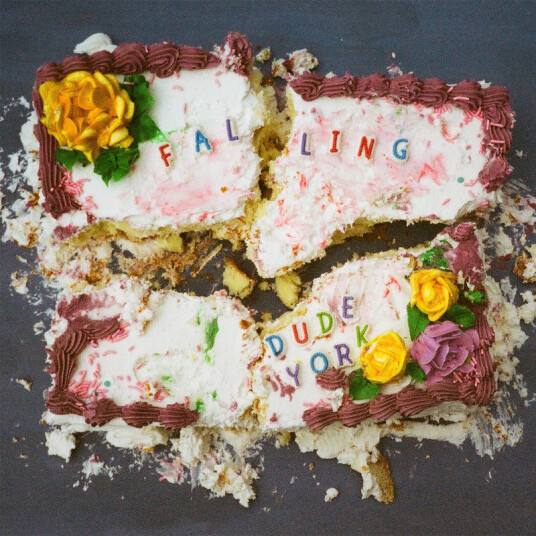 Dude York Falling CD