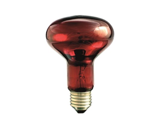 Helios Infrarød Varmeovn E27 100W 80Mm R-80 For Terrarium Pro-1465 Helios Infrarød Varmeovn E27 100W 80Mm R-80 For Terrarium Pro-1465