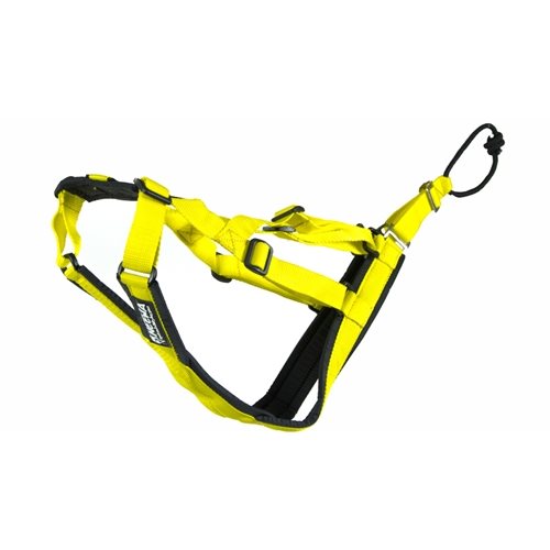 Neewa Sled Dog - X-Back Blue S