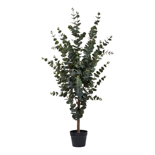 House Nordic Eukalyptus tre 9501015