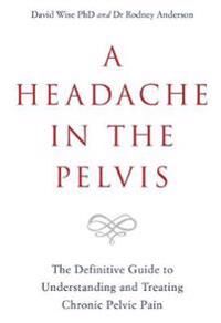 A Headache In The Pelvis Av David Phd Wise, Dr Rodney Anderson