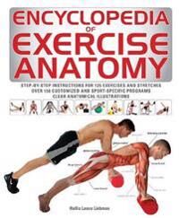 Encyclopedia Of Exercise Anatomy Av Hollis Lance Liebman