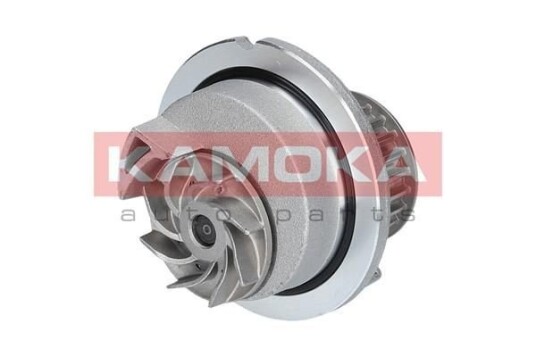 Vannpumpe KAMOKA T0236