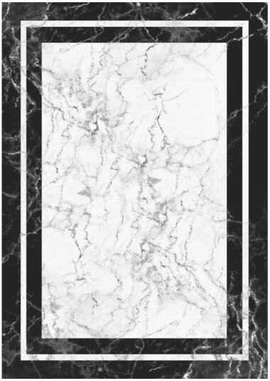 Wilton teppe Amaliada svart/hvit Størrelse: 160 x 230 cm