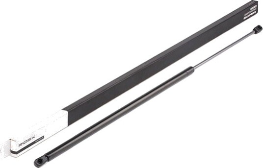 RIDEX 219G0598 Baklukedemper