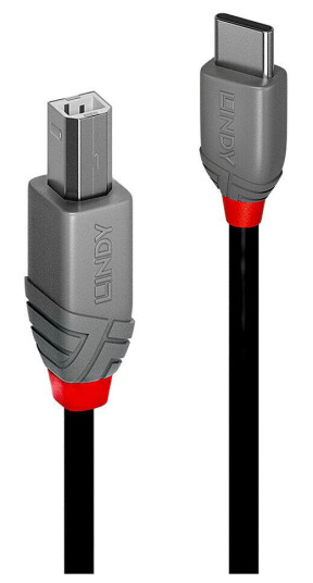 Lindy 2m USB 2.0 Type C til Type B Kabel Svart - 0,48 Gbit/s