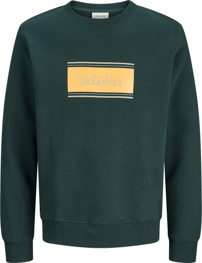 Jack & Jones Jjbuster Sweat Crew Neck Bts Jnr Green 152