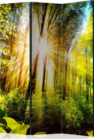 Romdeler - Forest Hideout 135x172 - Artgeist sp. z o. o.