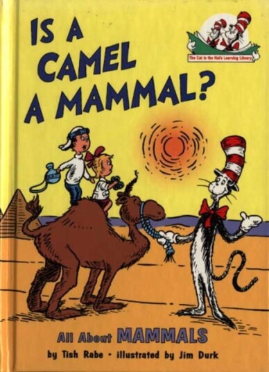 Is a Camel a Mammal? Is a Camel a Mammal?